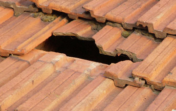 roof repair Woodbank